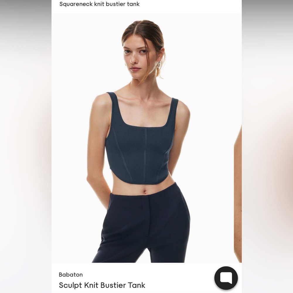 Babaton Sculpt Knit Bustier Crop Top